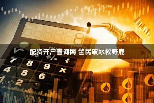 配资开户查询网 警民破冰救野鹿