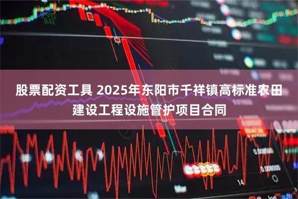 股票配资工具 2025年东阳市千祥镇高标准农田建设工程设施管护项目合同