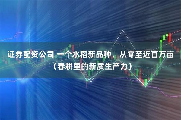证券配资公司 一个水稻新品种，从零至近百万亩（春耕里的新质生产力）
